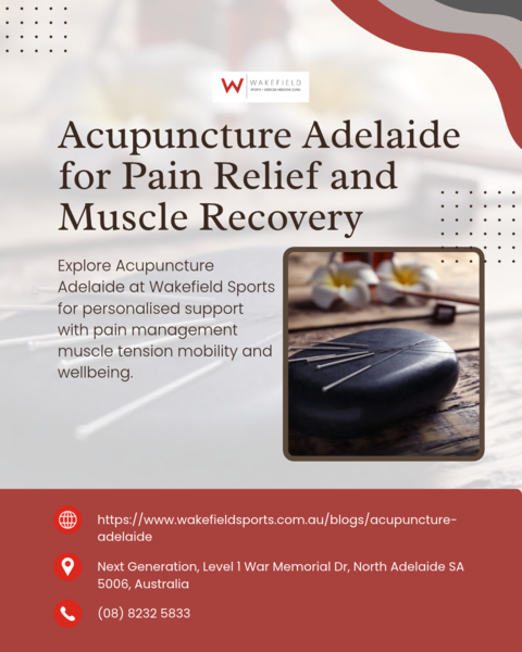 Download Acupuncture Adelaide for Pain Relief and Muscle Recovery.png