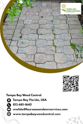 Download Patio and Walkway Weed Control Experts in Tampa Bay