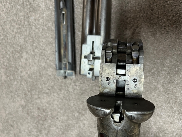 Download IMG_6054.jpeg