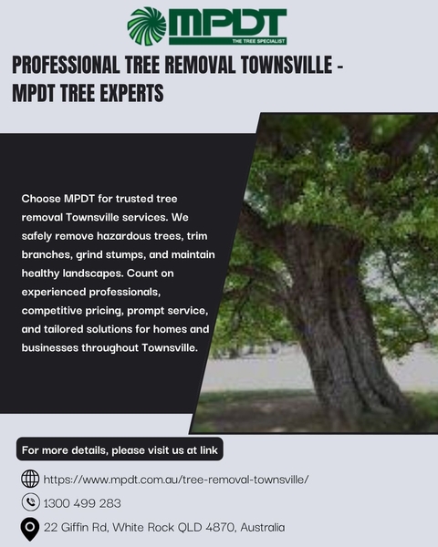 Download Professional Tree Removal Townsville - MPDT Tree Experts.jpg