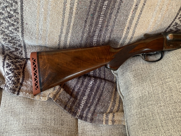 Download IMG_2443.jpeg