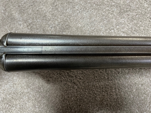 Download IMG_6049.jpeg