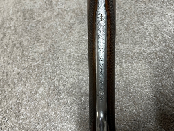 Download IMG_6053.jpeg