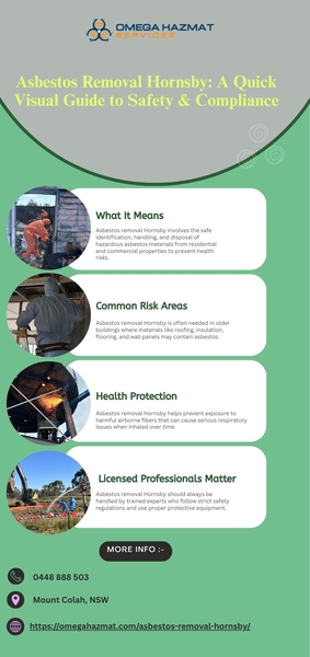 Download Asbestos Removal Hornsby A Quick Visual Guide to Safety & Compliance.jpg