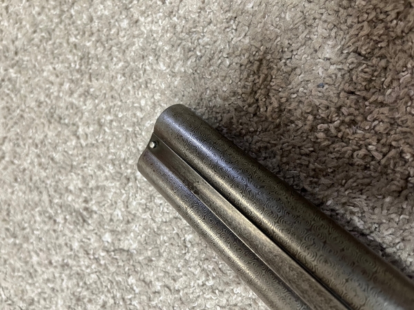 Download IMG_6050.jpeg