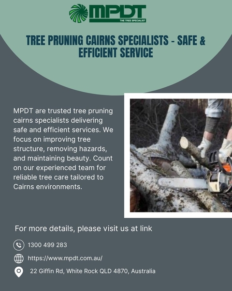 Download Tree Pruning Cairns Specialists - Safe & Efficient Service.jpg
