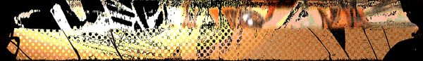 Download 66_7.bmp