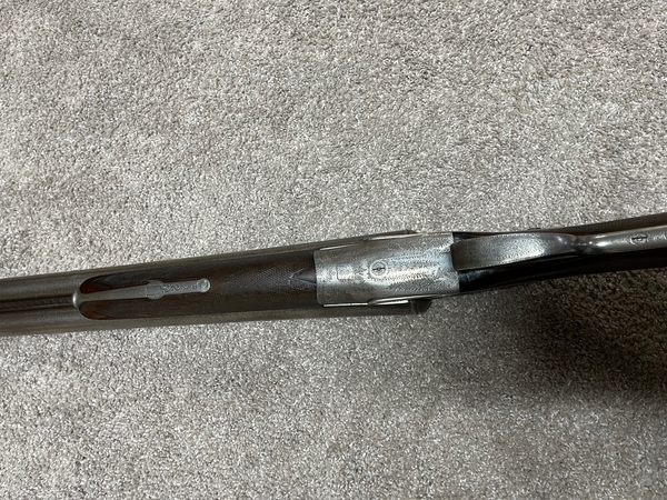 Download IMG_6052.jpeg