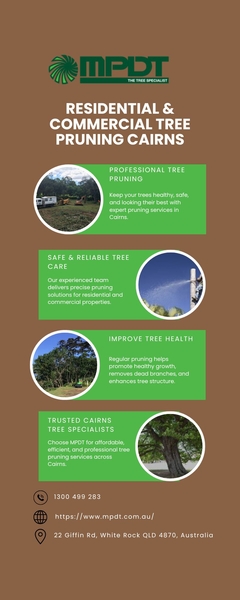 Download Residential & Commercial Tree Pruning Cairns.jpg