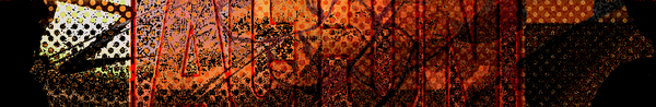 Download 66_81.bmp