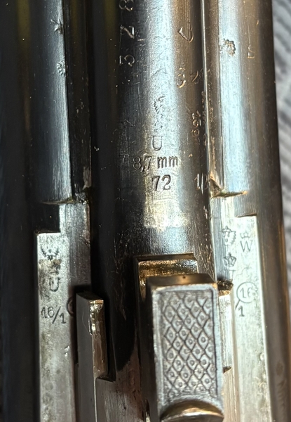 Download IMG_3177.jpeg