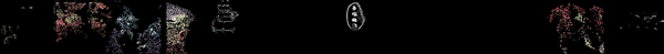 Download 70_69.bmp