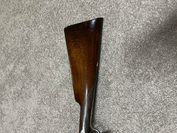 Download IMG_6039.jpeg