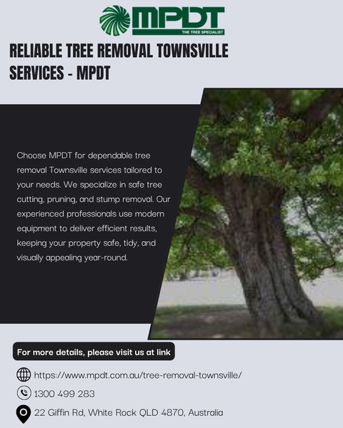 Download Reliable Tree Removal Townsville Services - MPDT.jpg