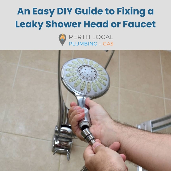 Download Easy DIY Guide to Fix a Leaky Shower Head | Perth Plumbing Services