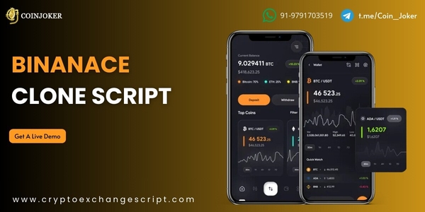 Download Binance Clone Script