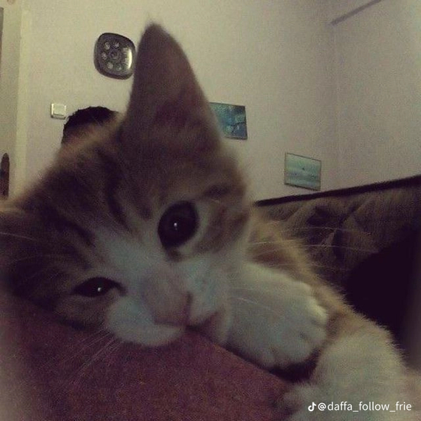 Download f4bcefa5feba3404d3b7dcf2207f33fd.png