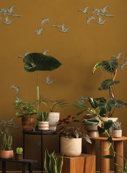 Download Professional Digital Marketing Training in Indore with Certification