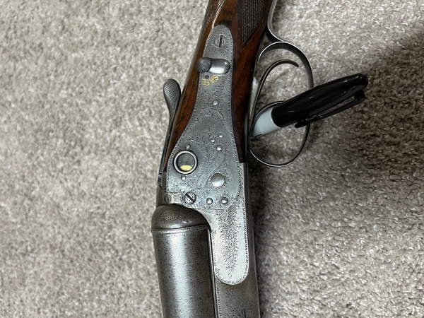 Download IMG_6040.jpeg