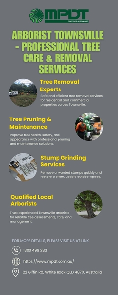 Download Arborist Townsville - Professional Tree Care & Removal Services.jpg