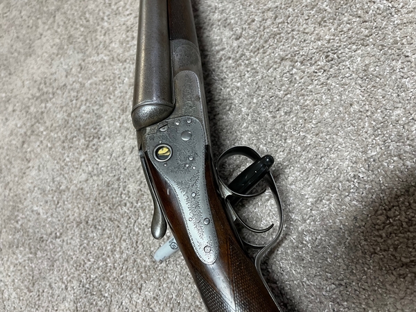 Download IMG_6045.jpeg