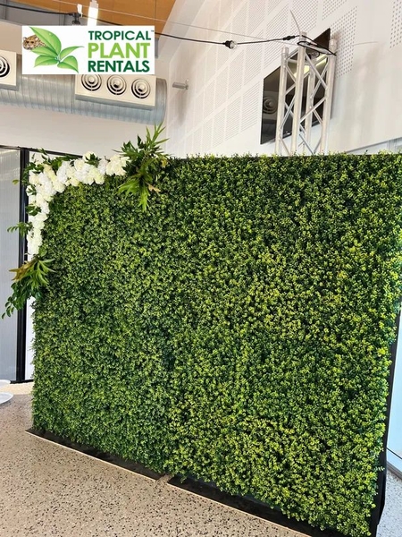 Download Cessnock Tropical Plant Rentals 