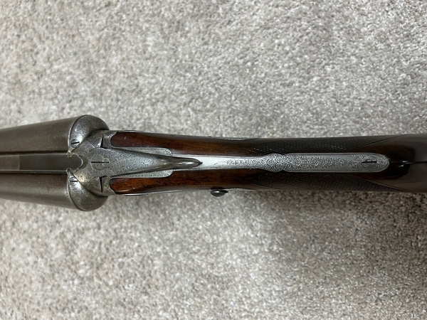 Download IMG_6048.jpeg